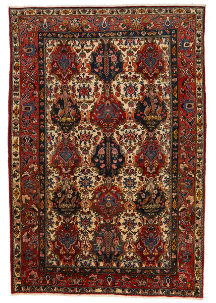 206X302 Tapete Bakhtiari Collectible Oriental Castanho/Bege (Lã, Pérsia/Irão) Carpetvista