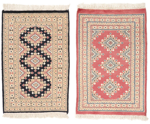 62X94 Pakistan Bokhara 2Ply Rug Oriental Beige/Brown (Wool, Pakistan) Carpetvista