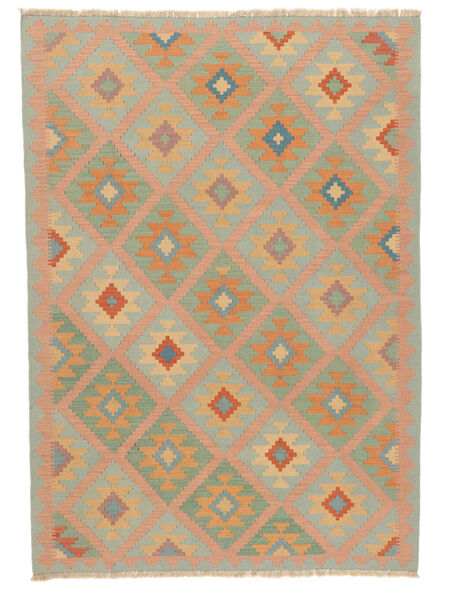 絨毯 ペルシャ キリム カシュガイ 169X238 茶色/ダークグリーン ( ペルシャ/イラン)