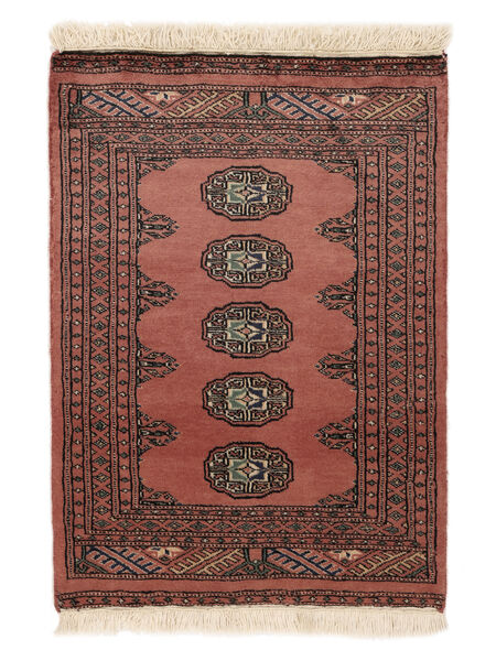 絨毯 パキスタン ブハラ 2Ply 62X88 ダークレッド/ブラック (ウール, パキスタン)