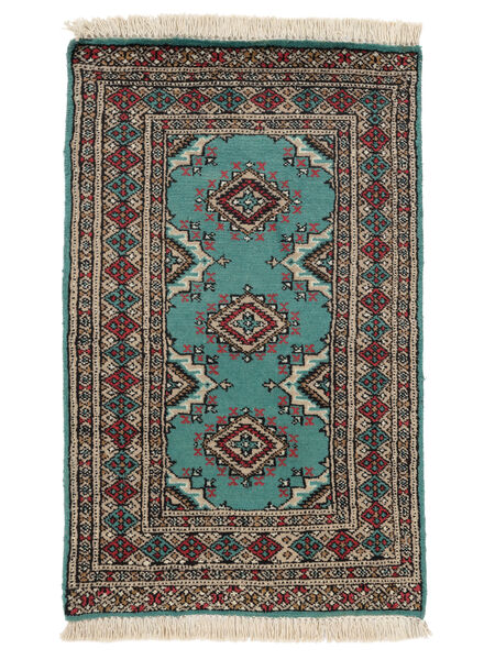  62X104 Medallion Small Pakistan Bokhara 2Ply Rug Wool, Carpetvista