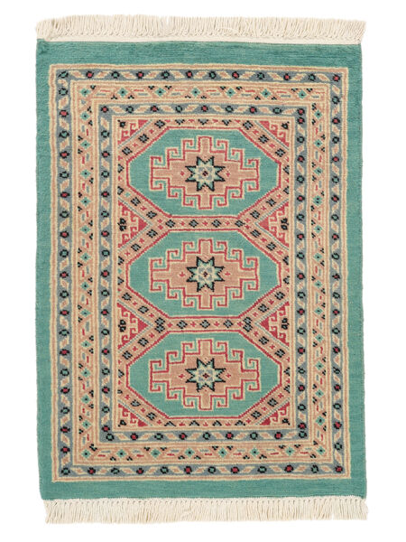 Tappeto Pakistan Bukara 2Ply 62X87 Marrone/Verde (Lana, Pakistan)