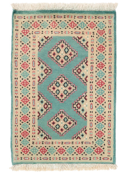 Tappeto Pakistan Bukara 2Ply 64X95 Arancione/Verde (Lana, Pakistan)