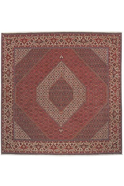  249X256 Large Bidjar Takab/Bukan Rug Wool