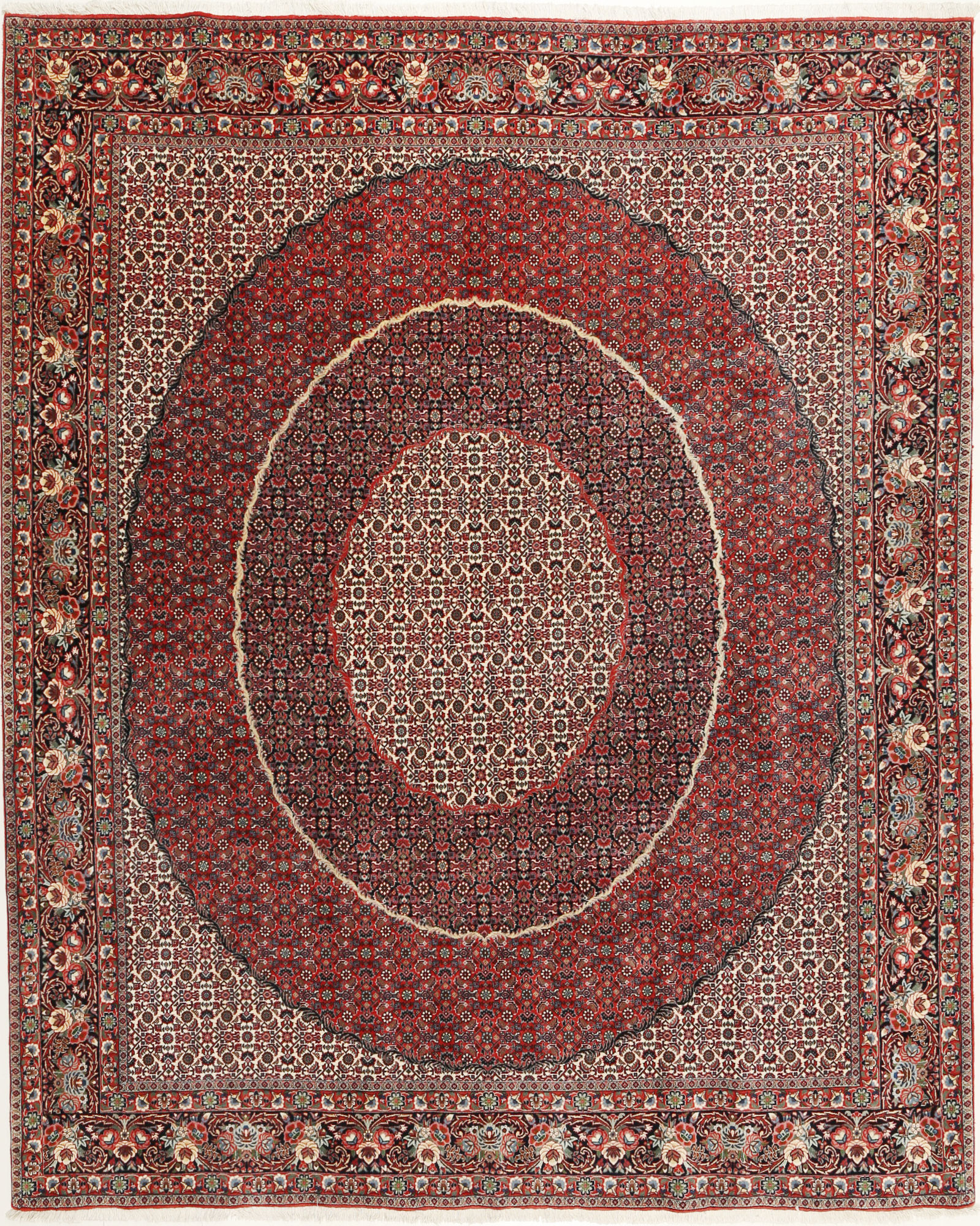 
    Bidjar - Red - 250 x 305 cm
  