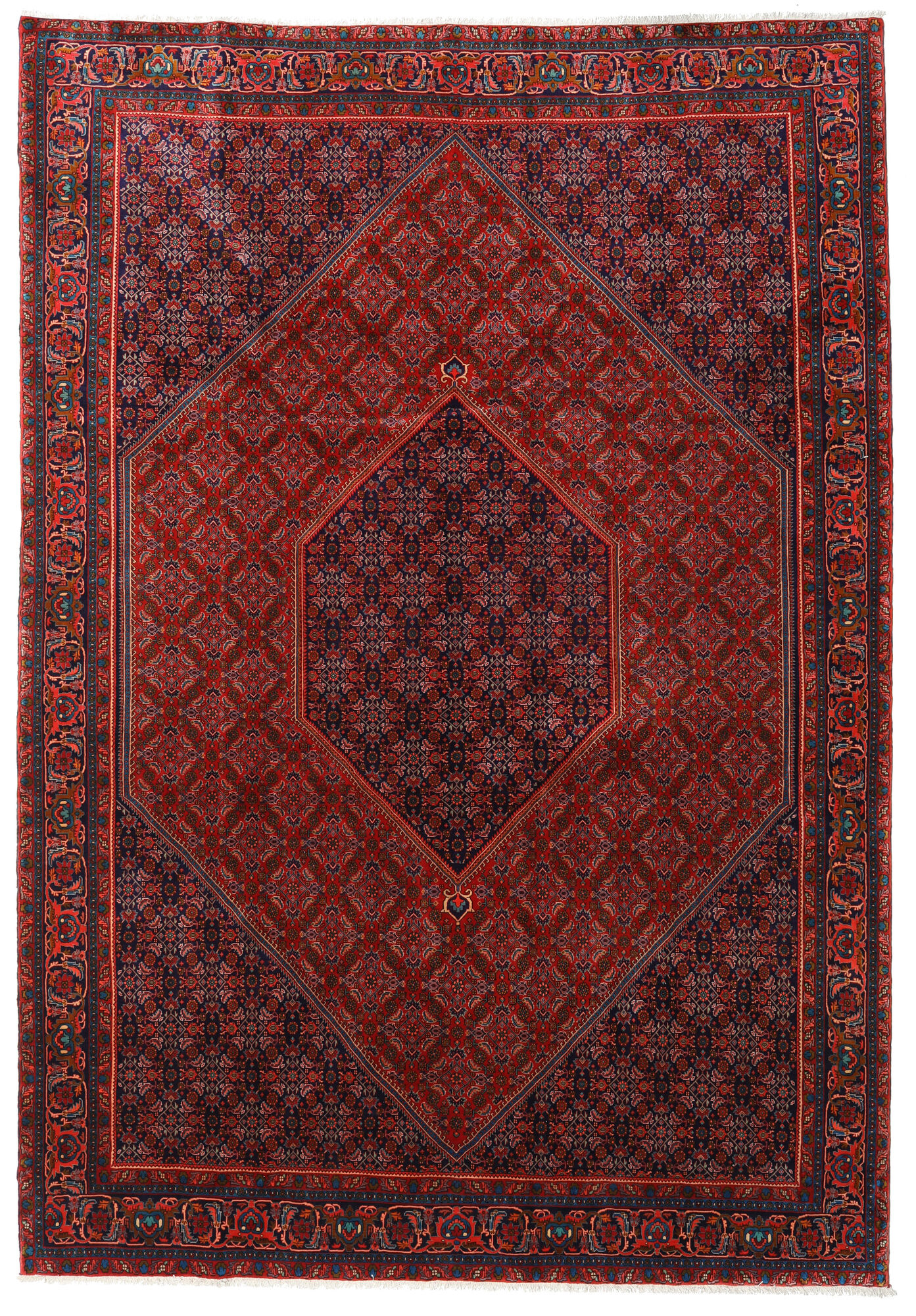 
    Bidjar Zanjan - Dark red - 253 x 365 cm
  