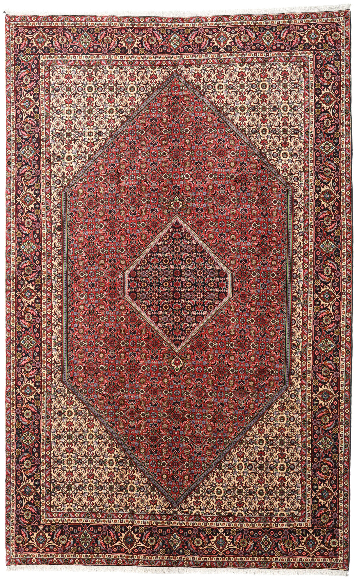 
    Bidjar Zanjan - Red - 200 x 317 cm
  