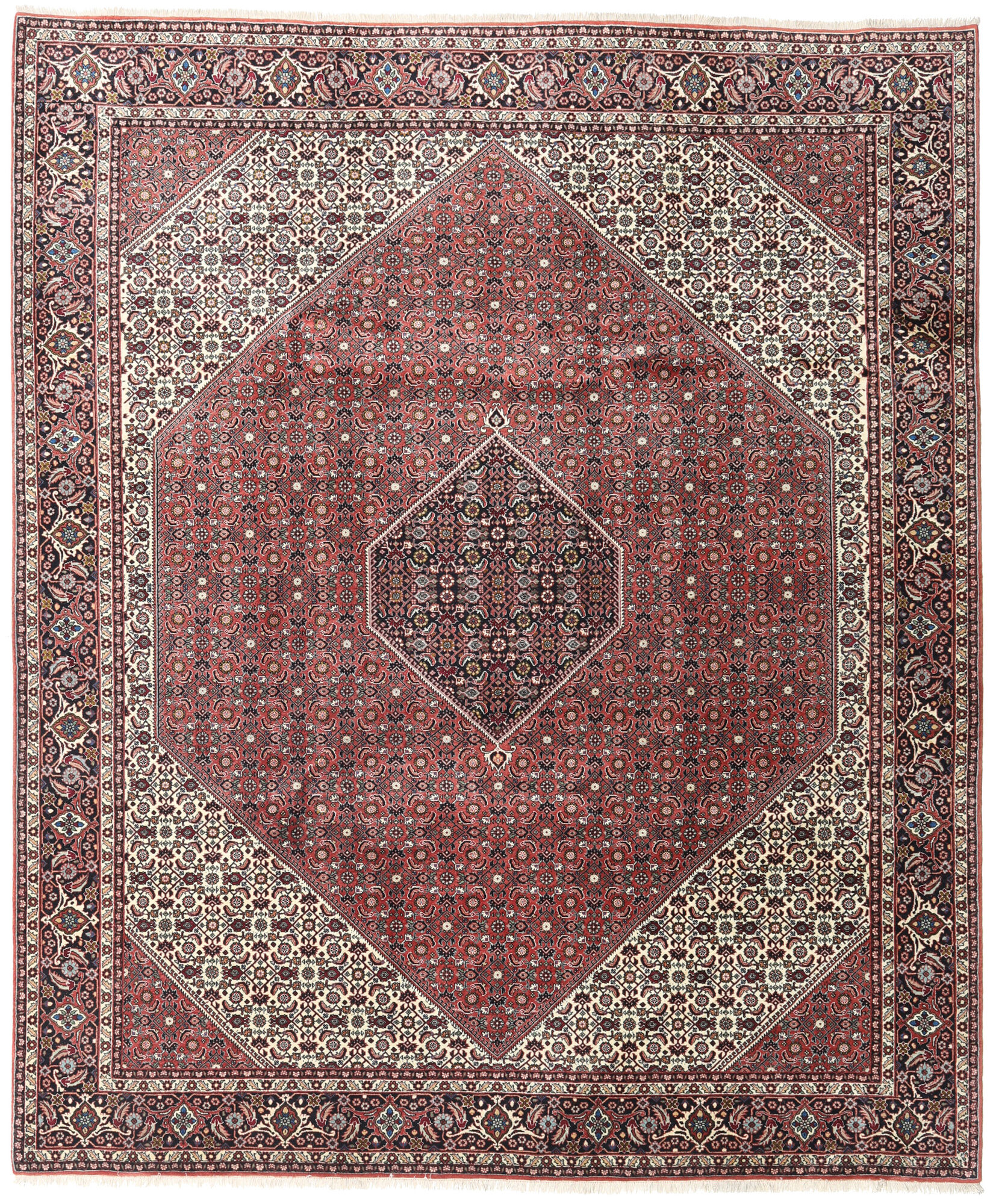 
    Bidjar - Red - 248 x 296 cm
  