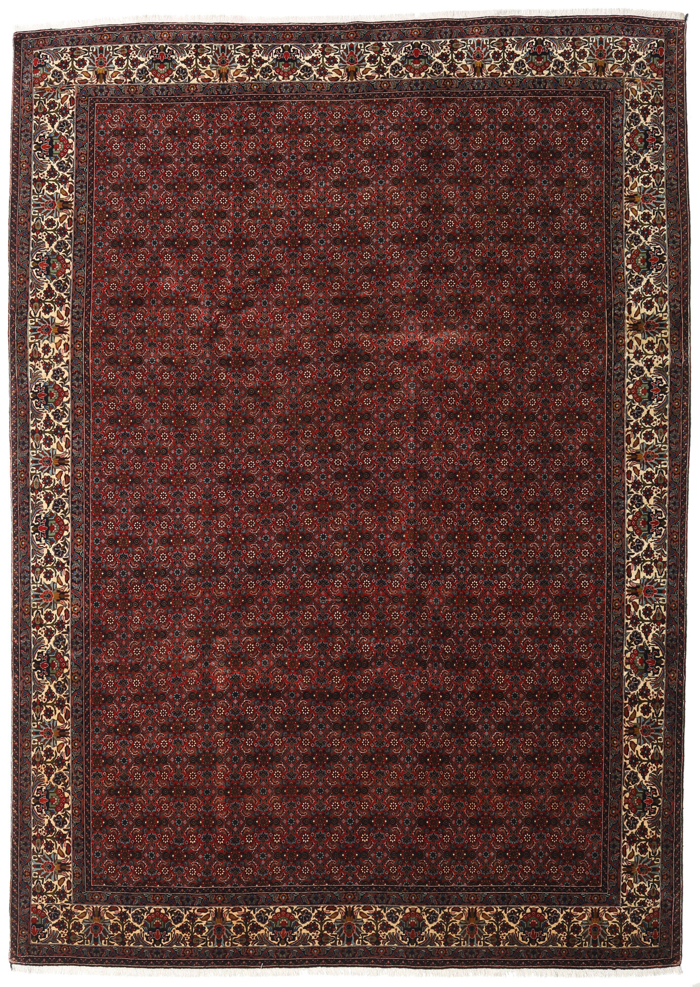 
    Bidjar with silk - Brown - 259 x 357 cm
  