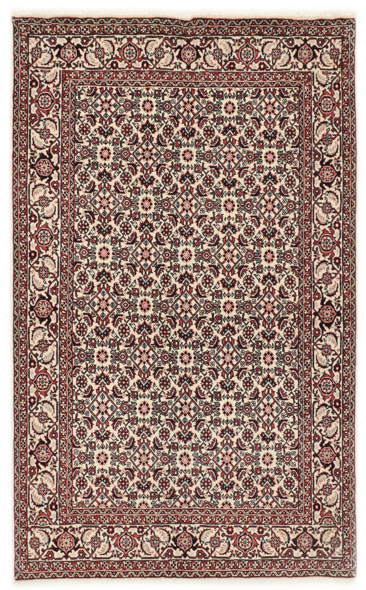 
    Bidjar - Red - 112 x 177 cm
  