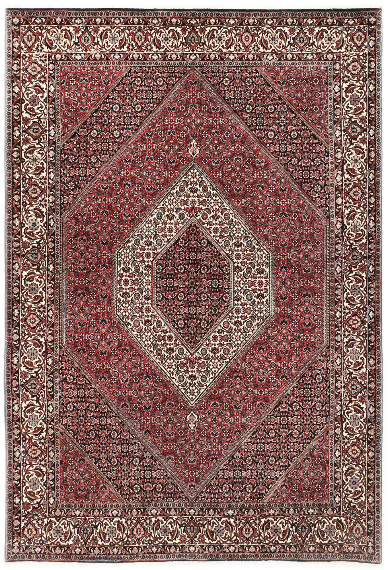 
    Bidjar with silk - Red - 170 x 244 cm
  