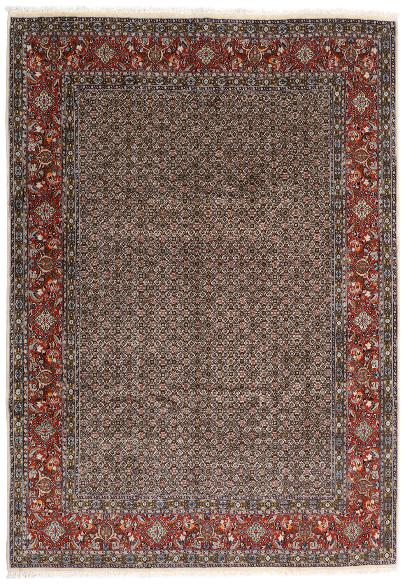 
    Moud - Brown - 245 x 347 cm
  