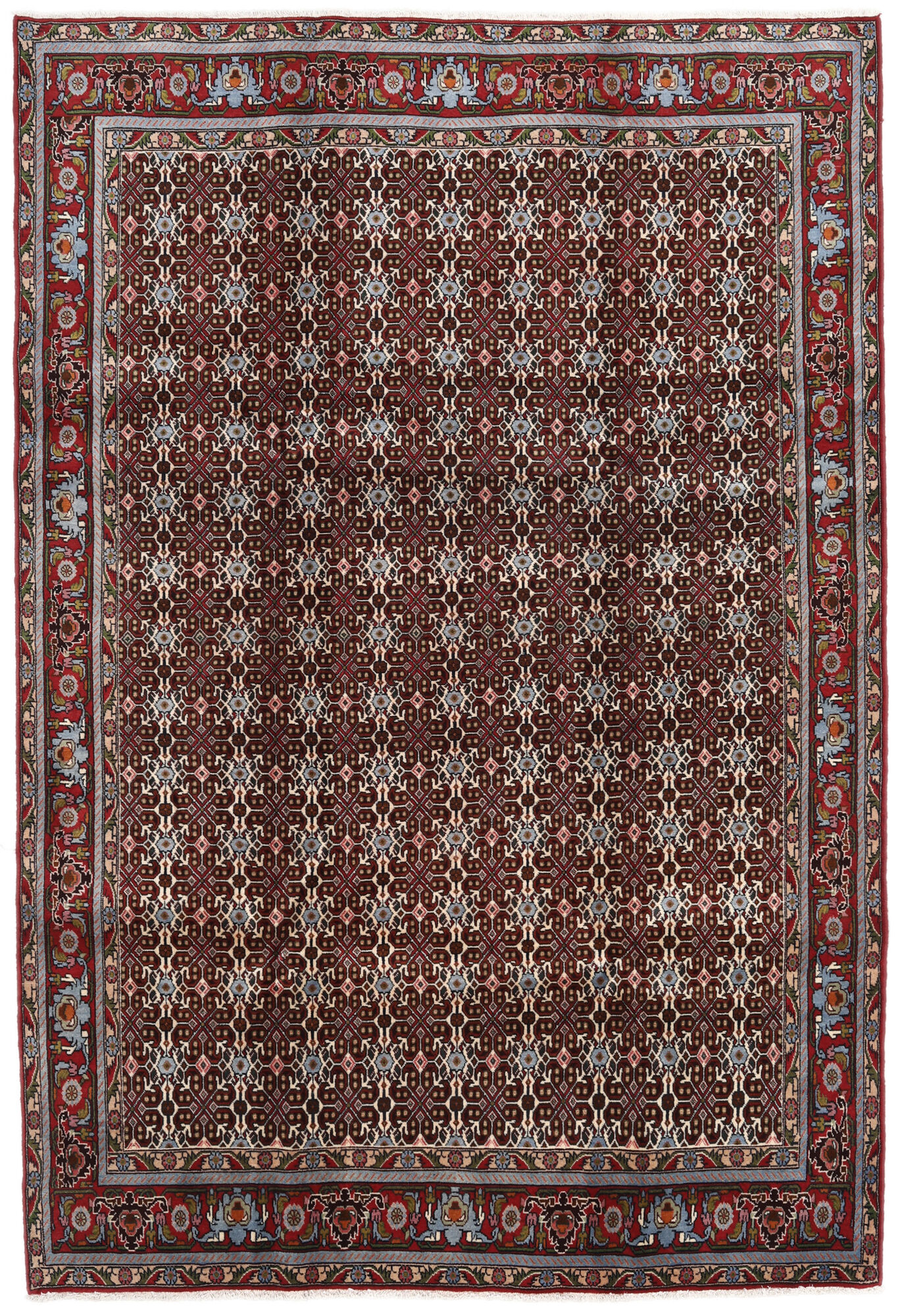 
    Senneh - Brown - 203 x 294 cm
  