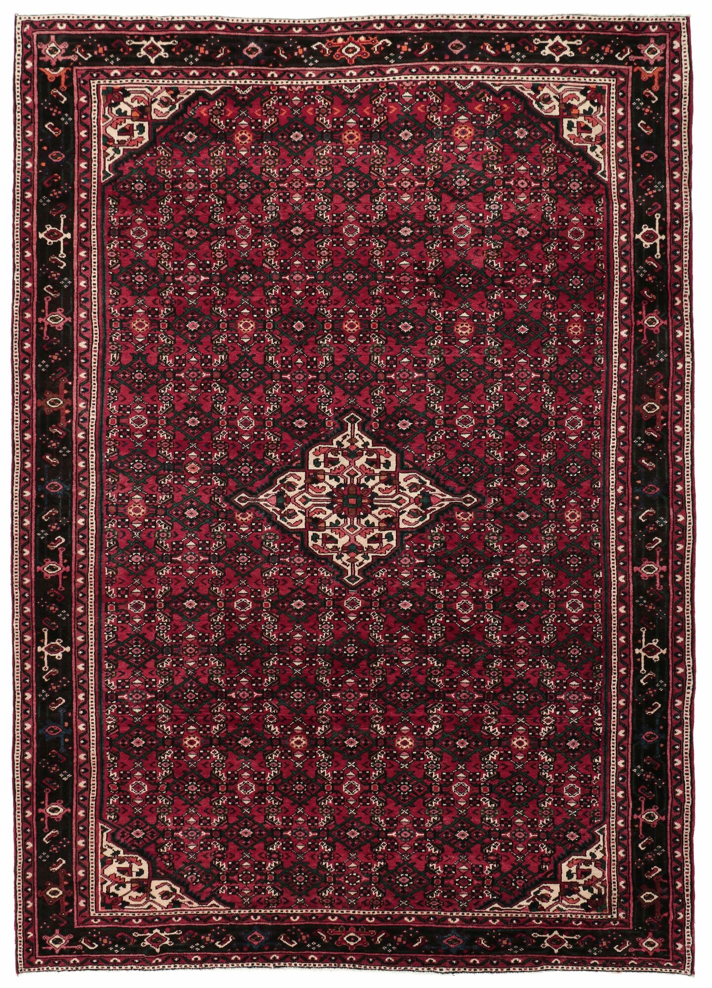 
    Hosseinabad - Black - 217 x 305 cm
  