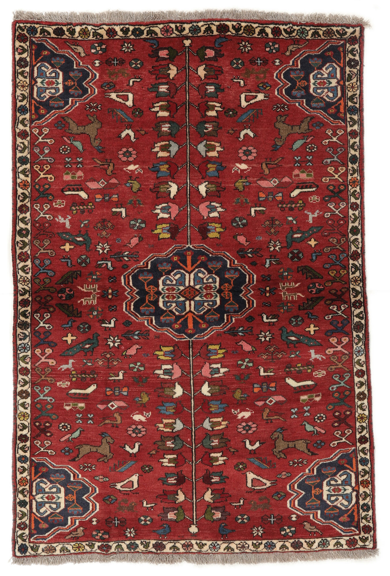 
    Qashqai Fine - Dark red - 100 x 148 cm
  