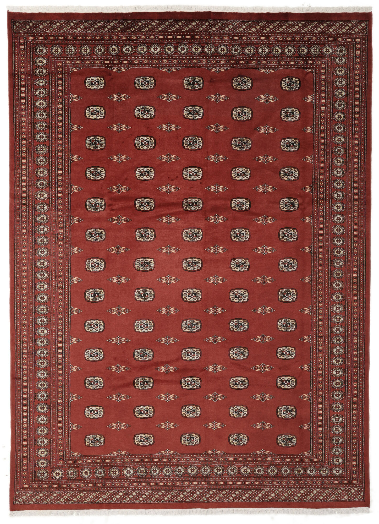 
    Pakistan Bokhara 2ply - Dark red - 275 x 379 cm
  