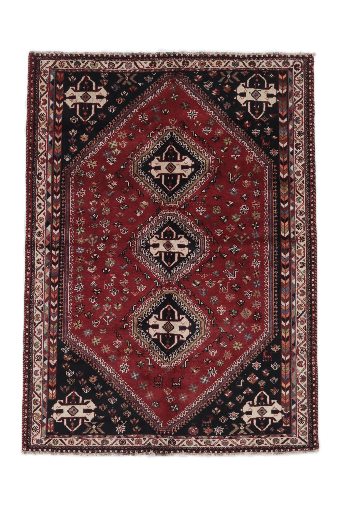 Shiraz Matta 181x250