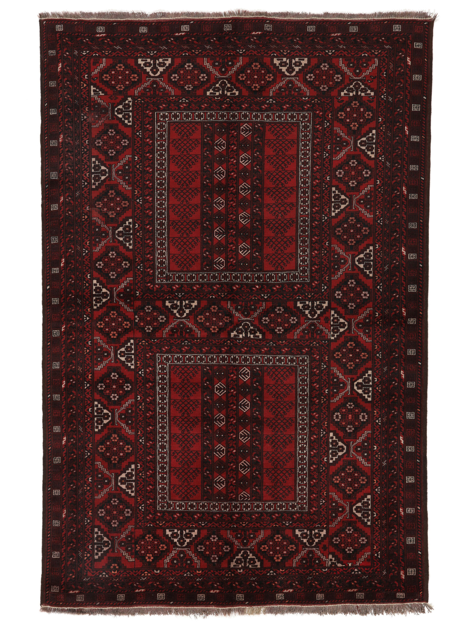 Kunduz Matta 156x241