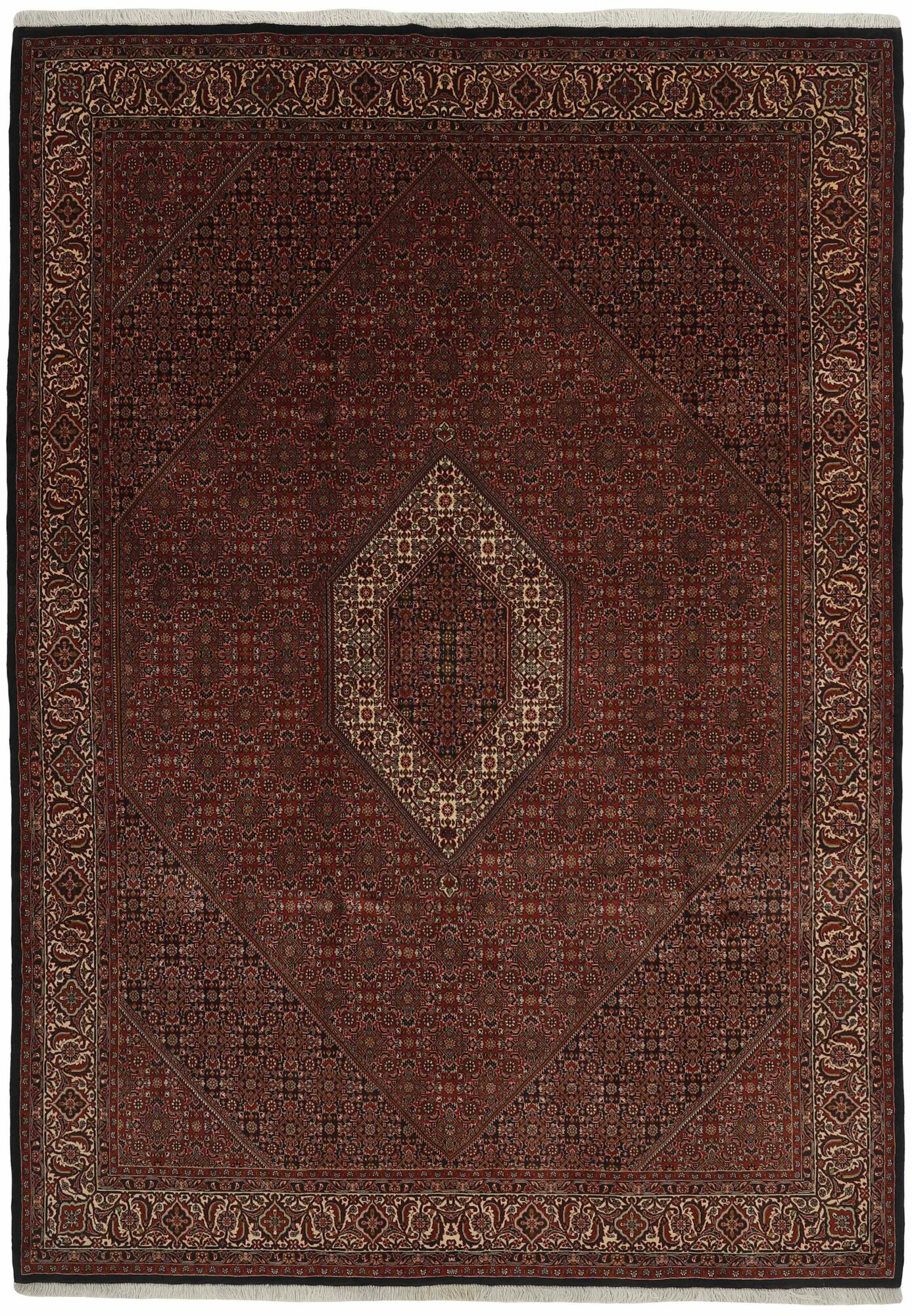 
    Bidjar Zandjan - Black - 248 x 355 cm
  