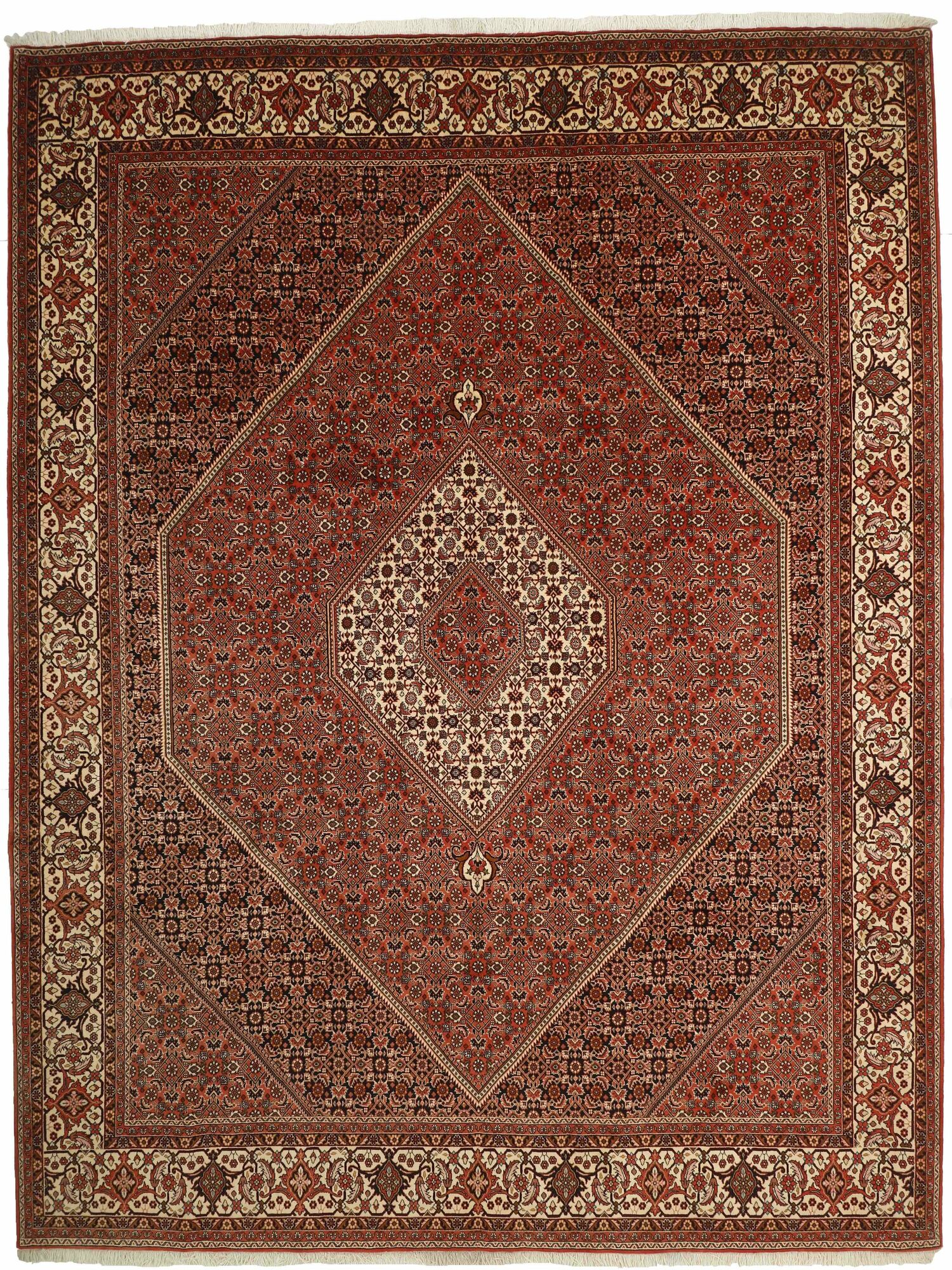 
    Bidjar Zandjan - Brown - 302 x 397 cm
  