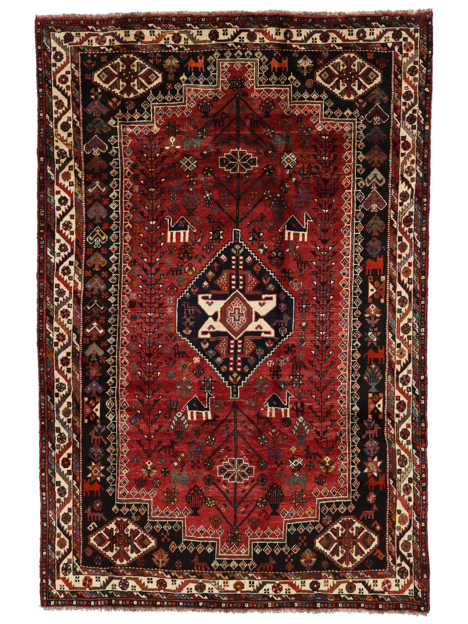 
    Shiraz - Black - 178 x 272 cm
  