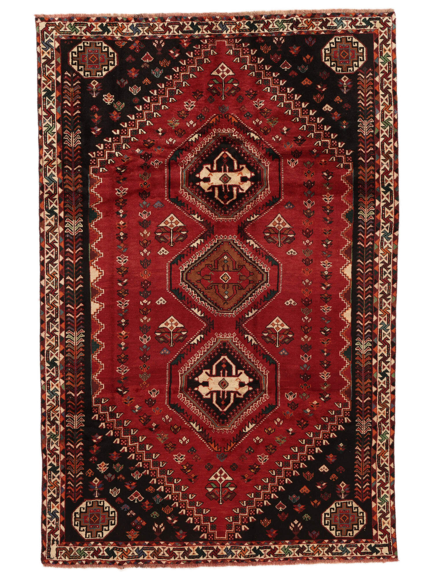 Shiraz Matta 176x268