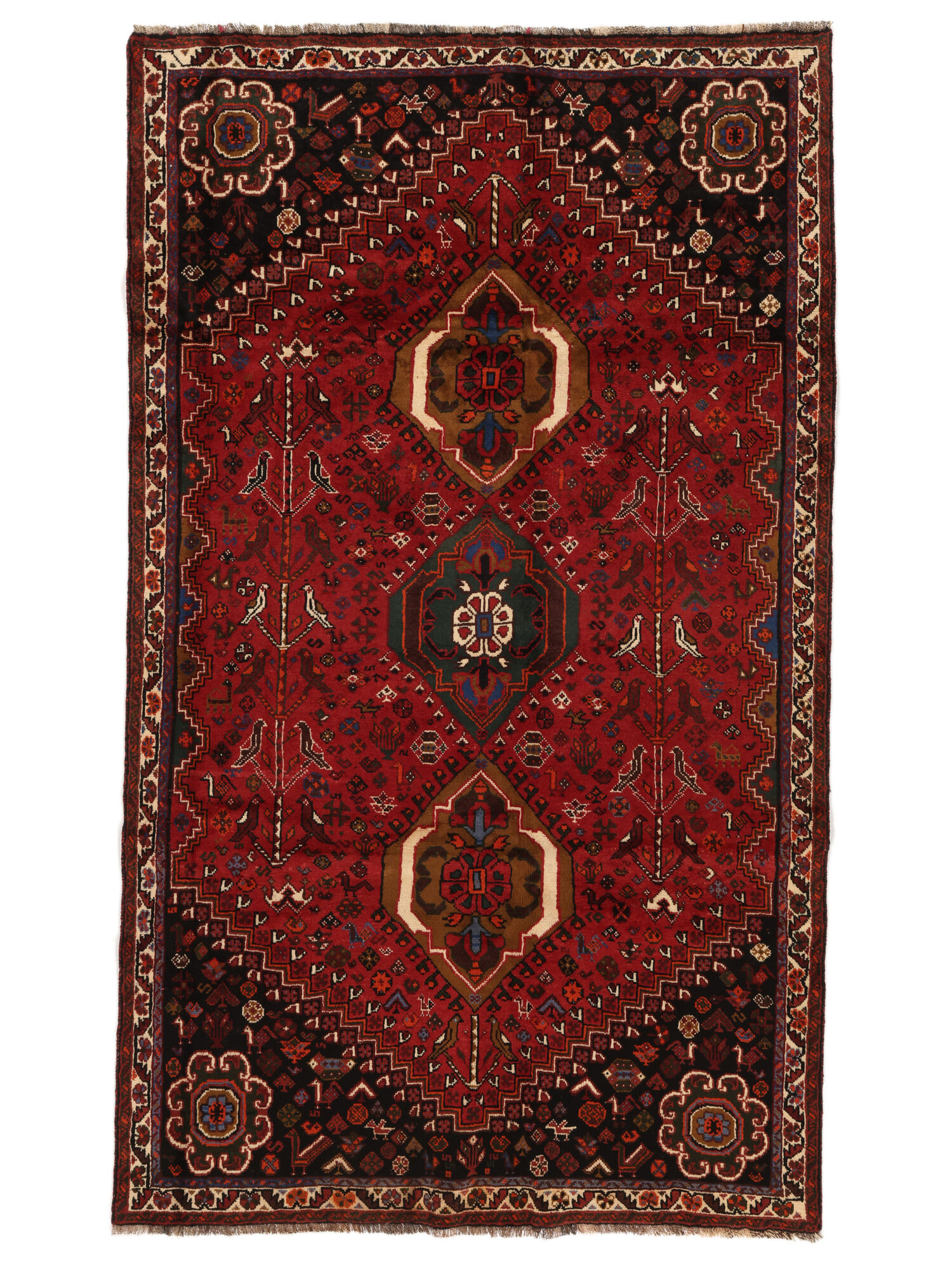 
    Shiraz - Black - 165 x 278 cm
  