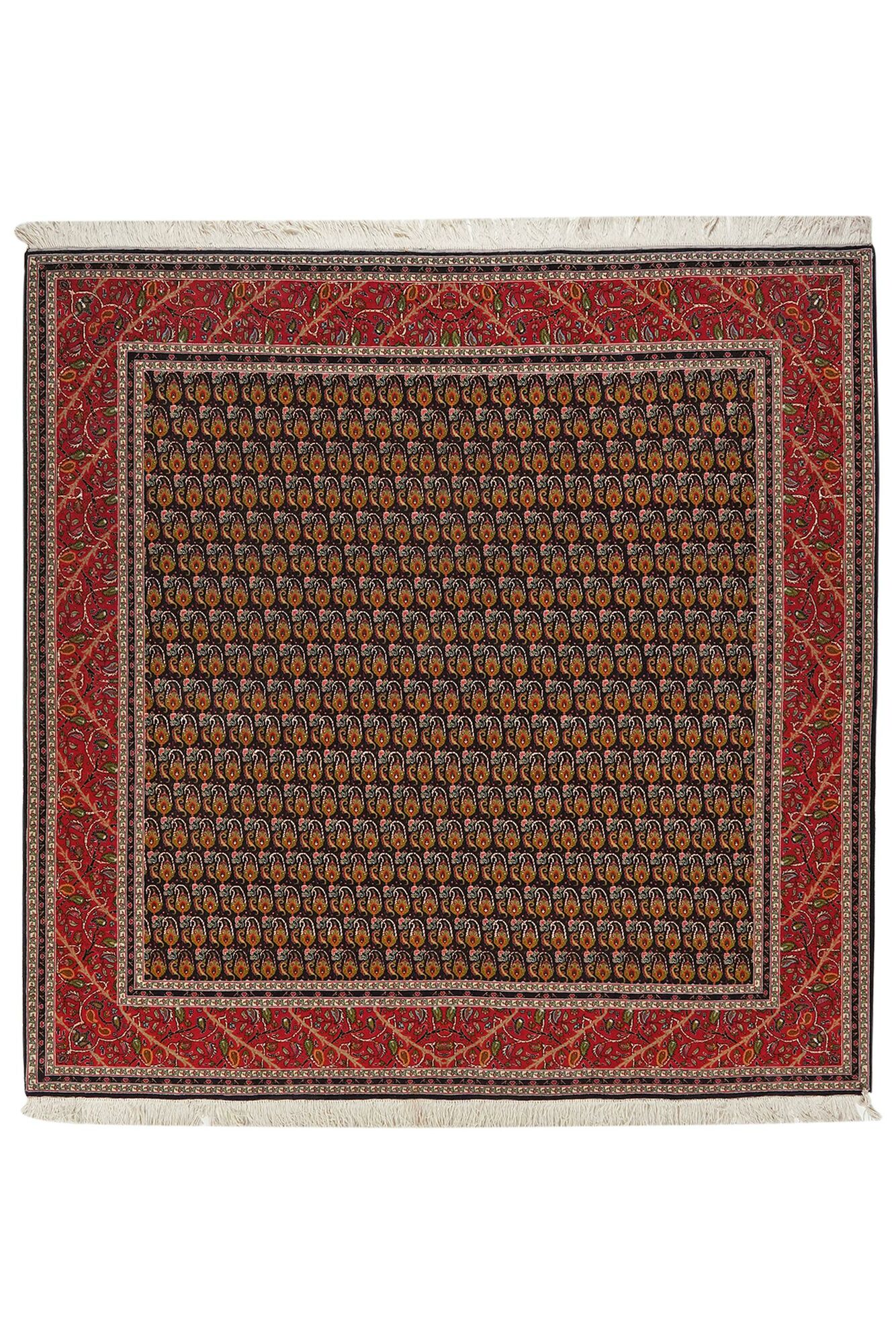 
    Tabriz 50 Raj - Black - 200 x 202 cm
  