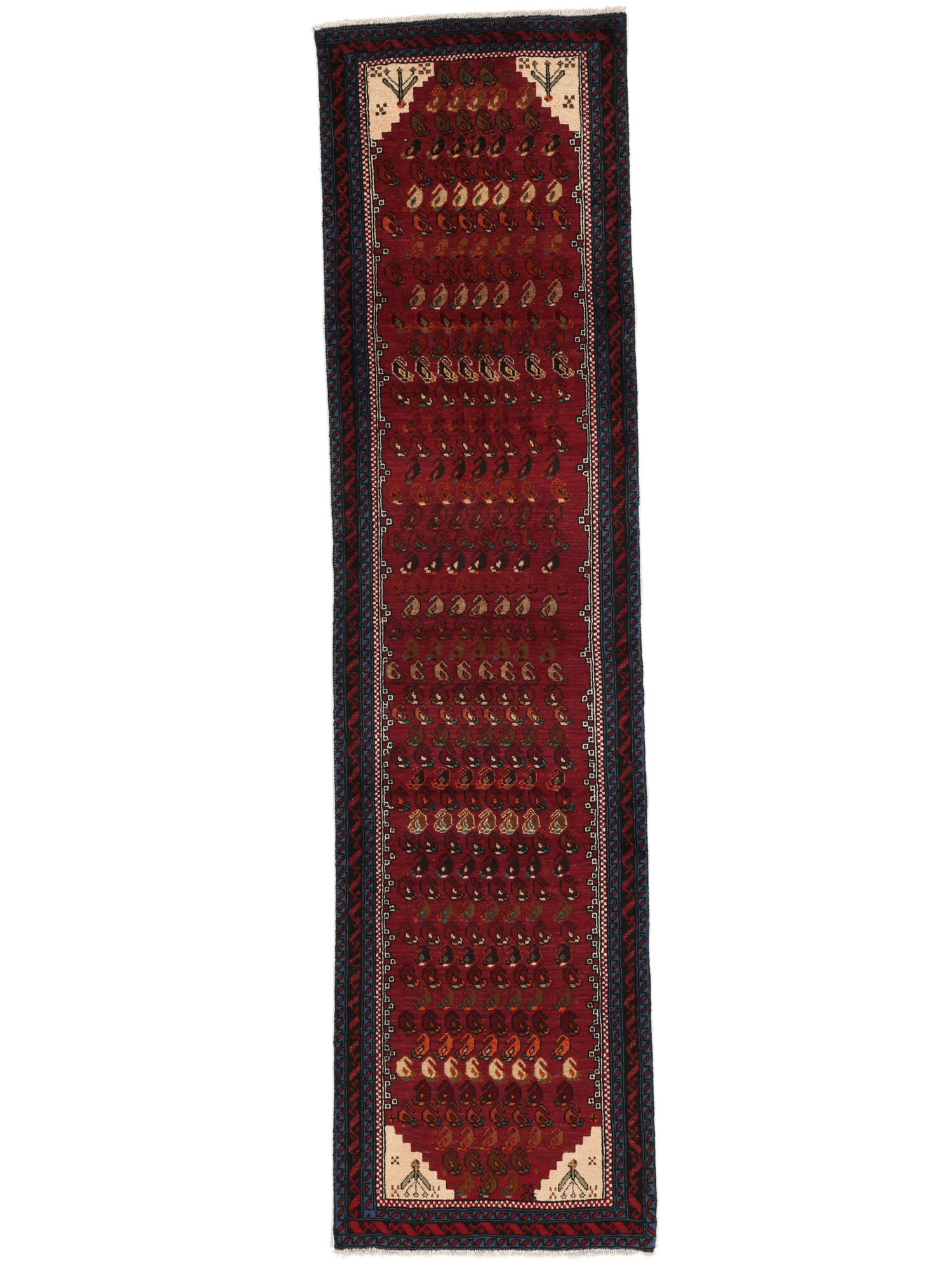 Beluch Fine Matta 69x265