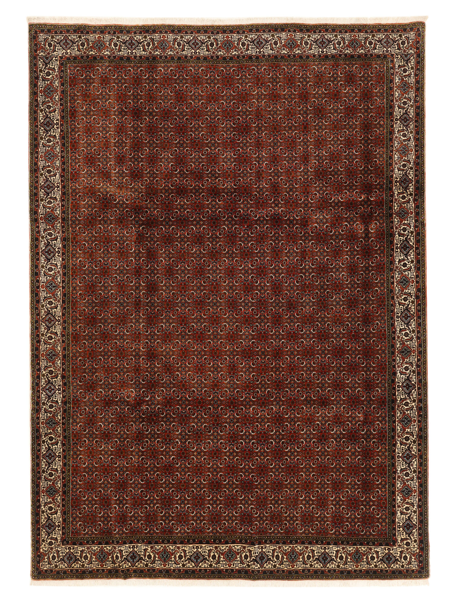 Bidjar med silke Matta 248x346