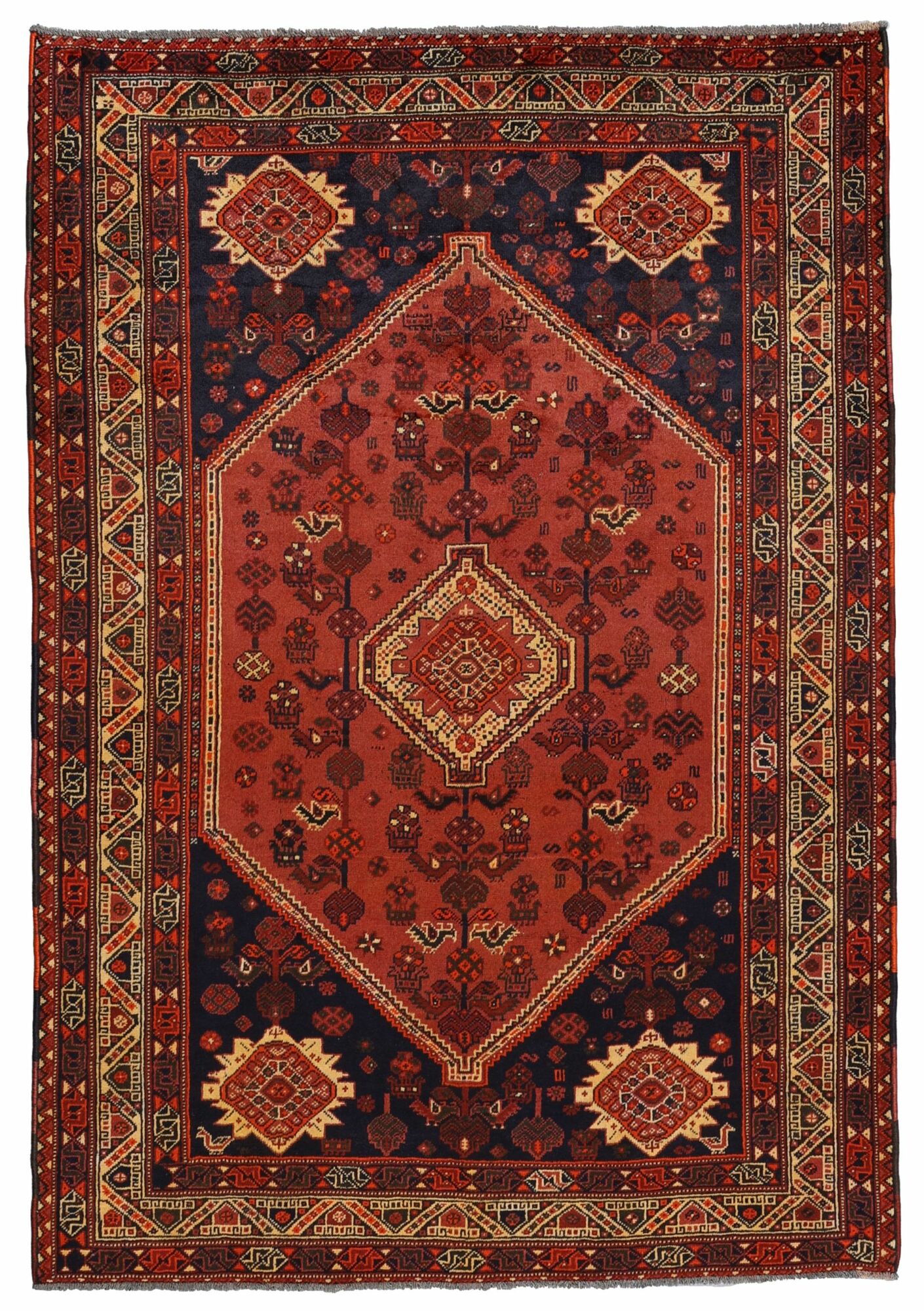 Shiraz Matta 206x302