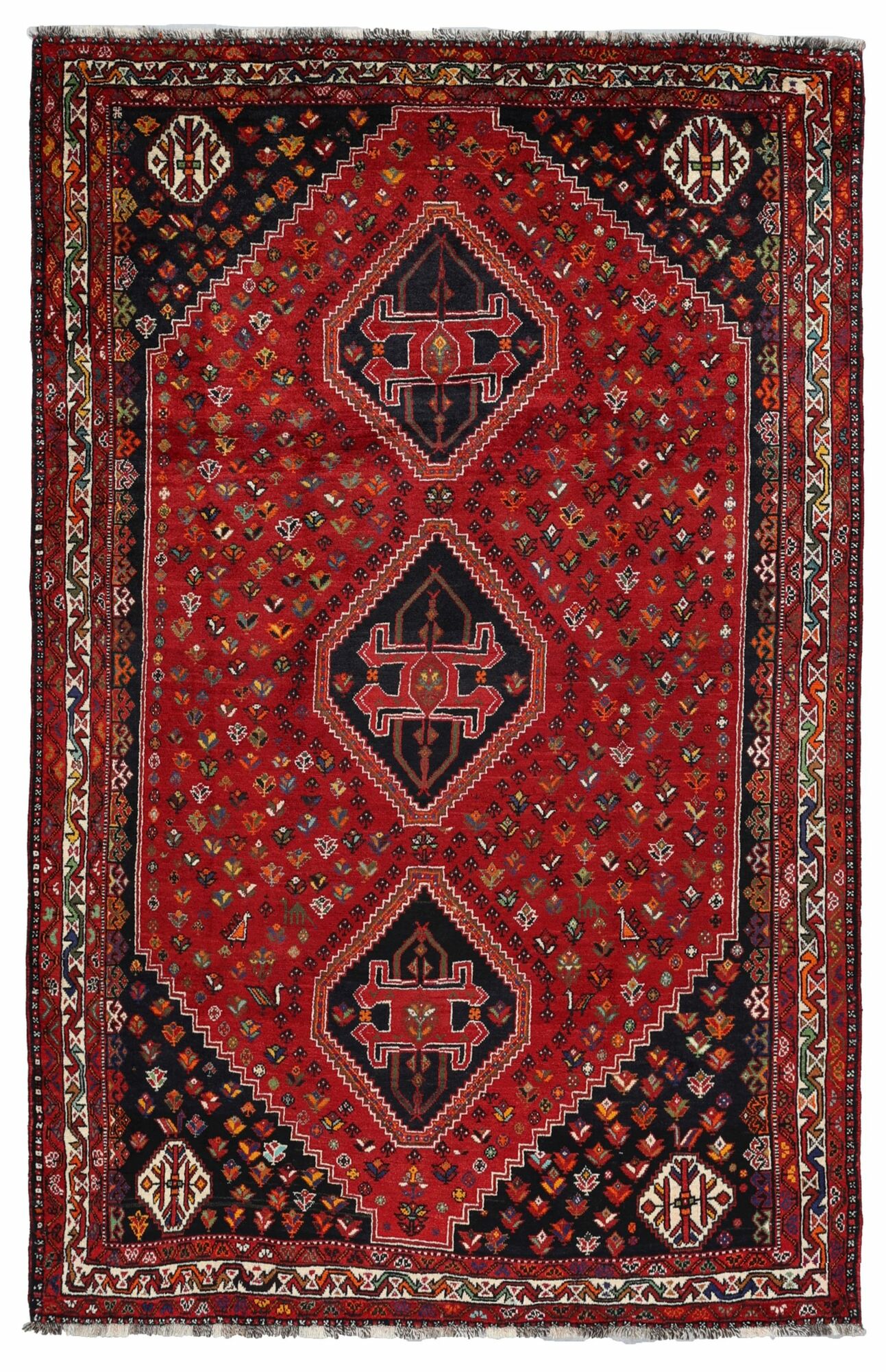 Shiraz Matta 200x307