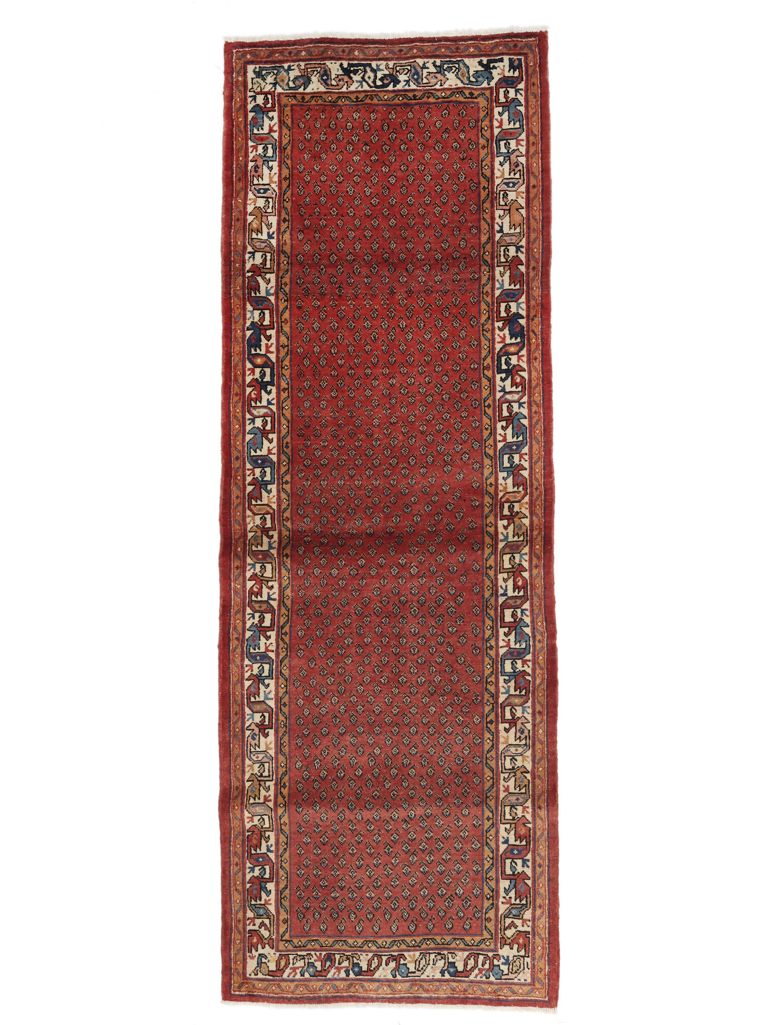 Arak Matta 108x308