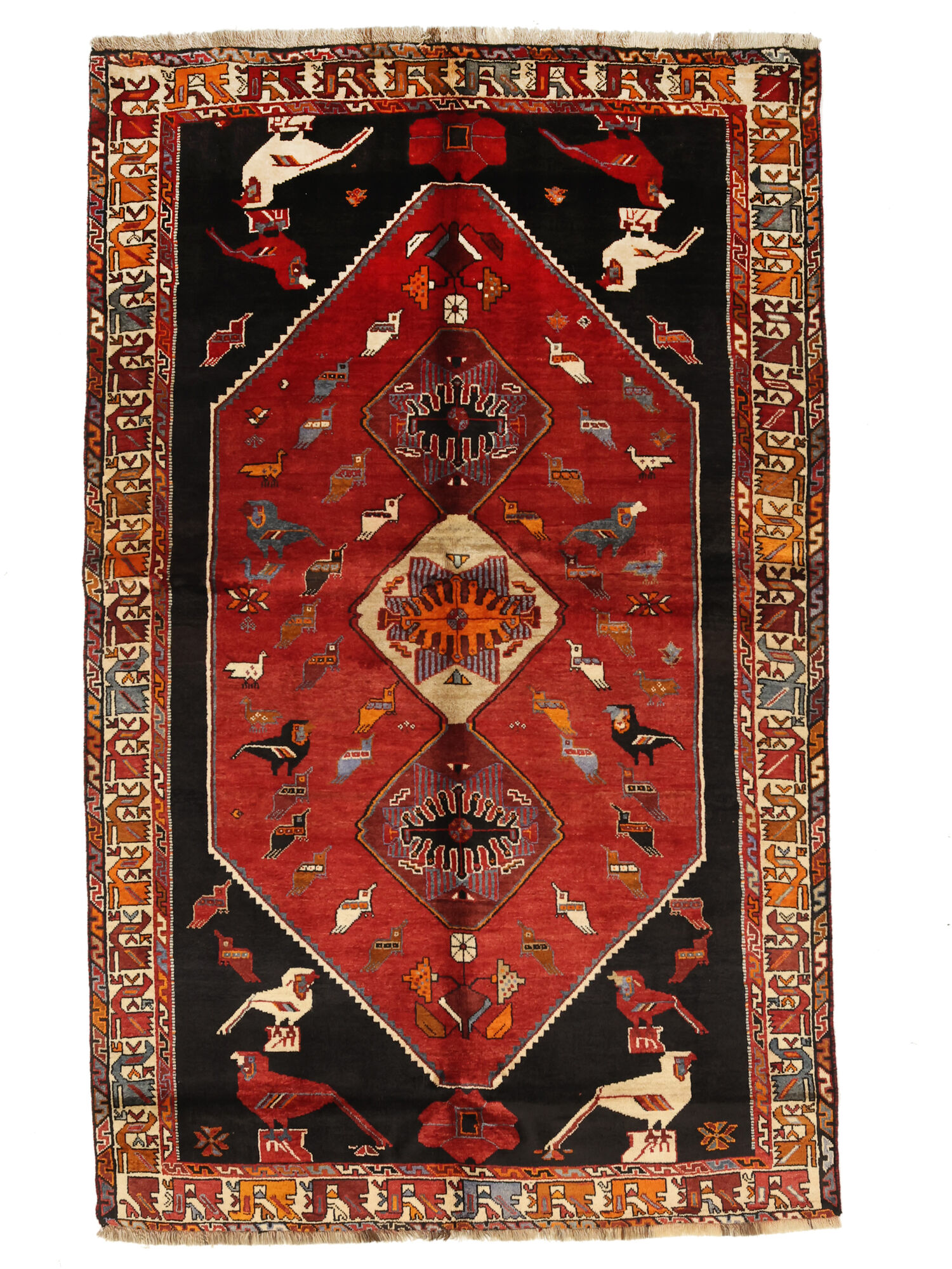 Shiraz Matta 163x268