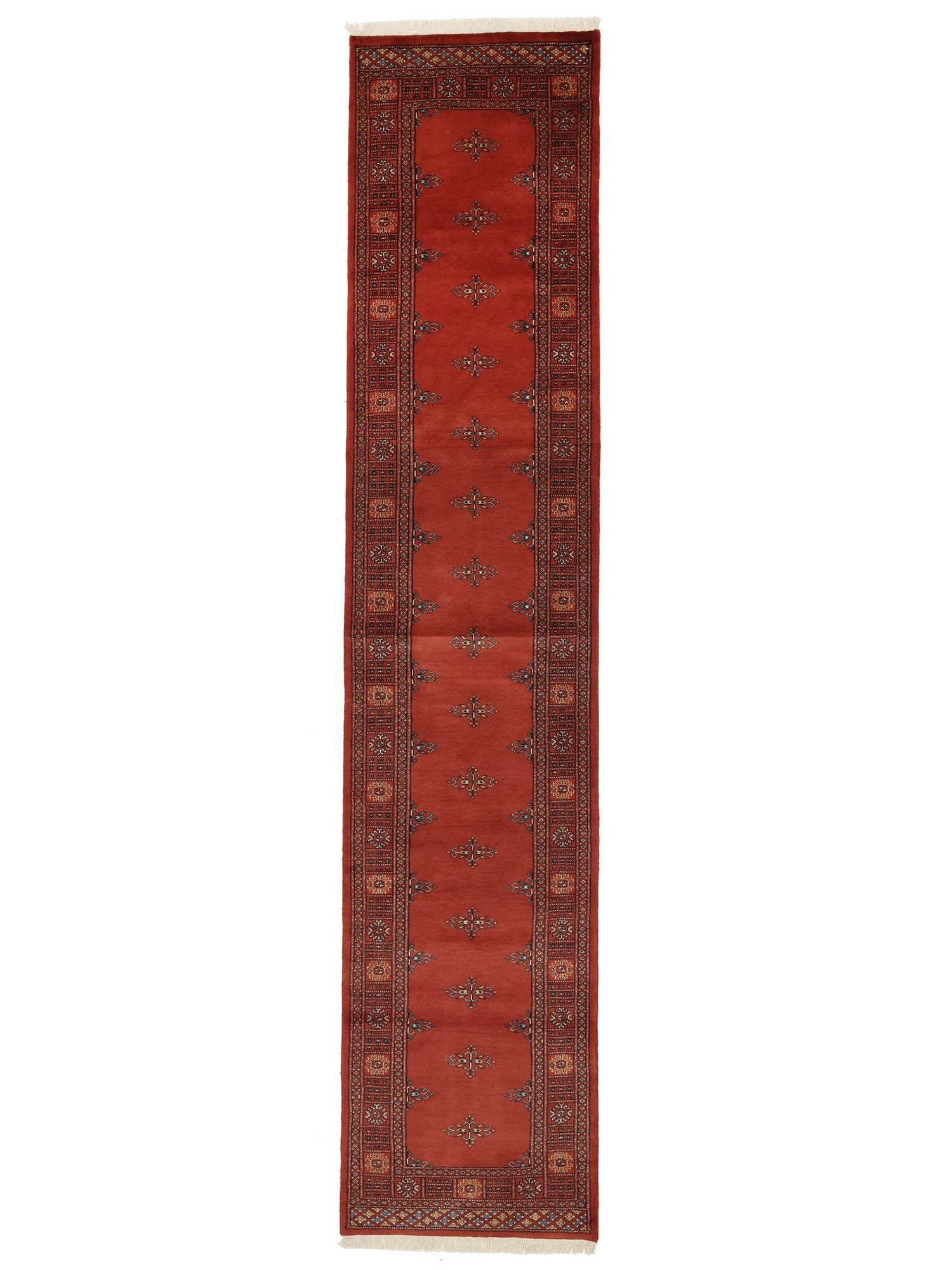 Pakistan Bokhara 2ply Matta 77x358
