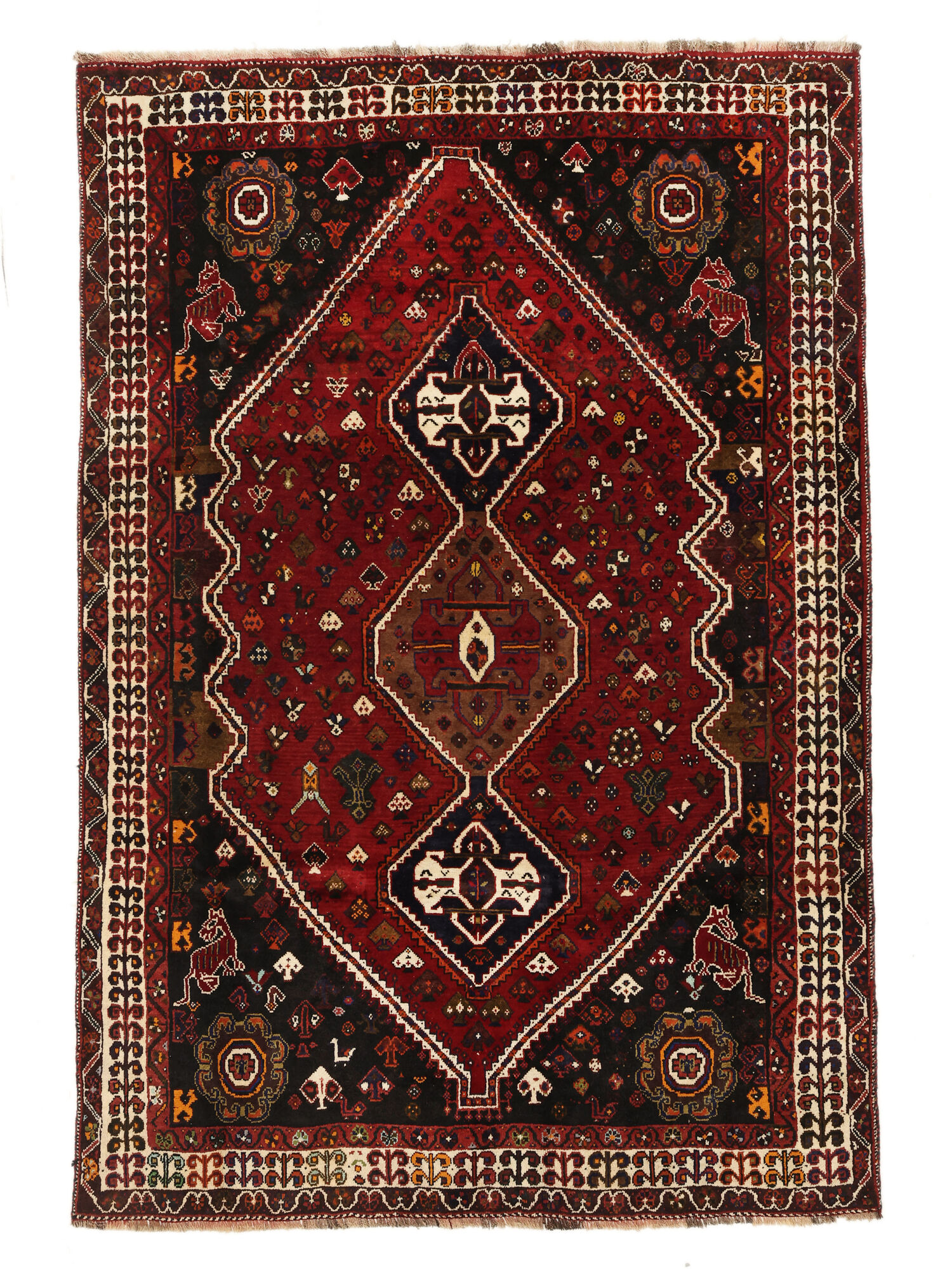 Shiraz Matta 175x256