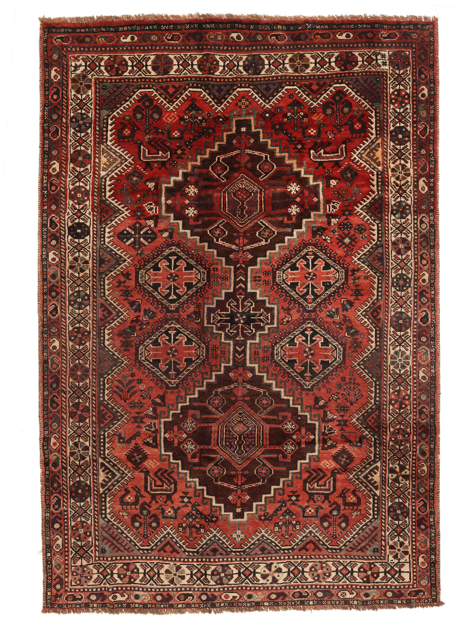 Shiraz Matta 171x248
