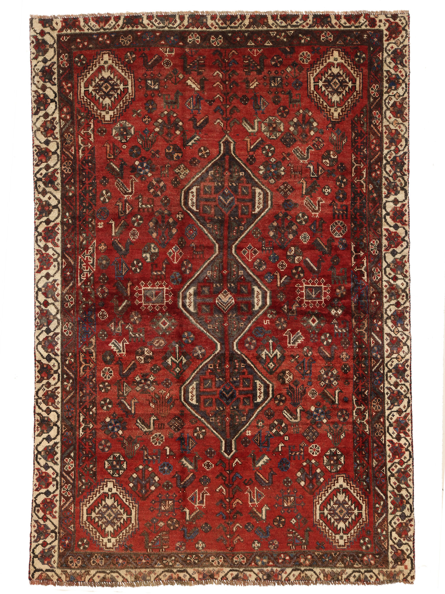 Shiraz Matta 153x228