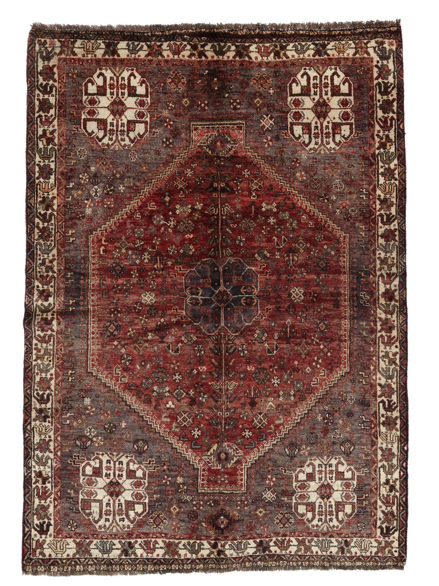 Shiraz Matta 157x221