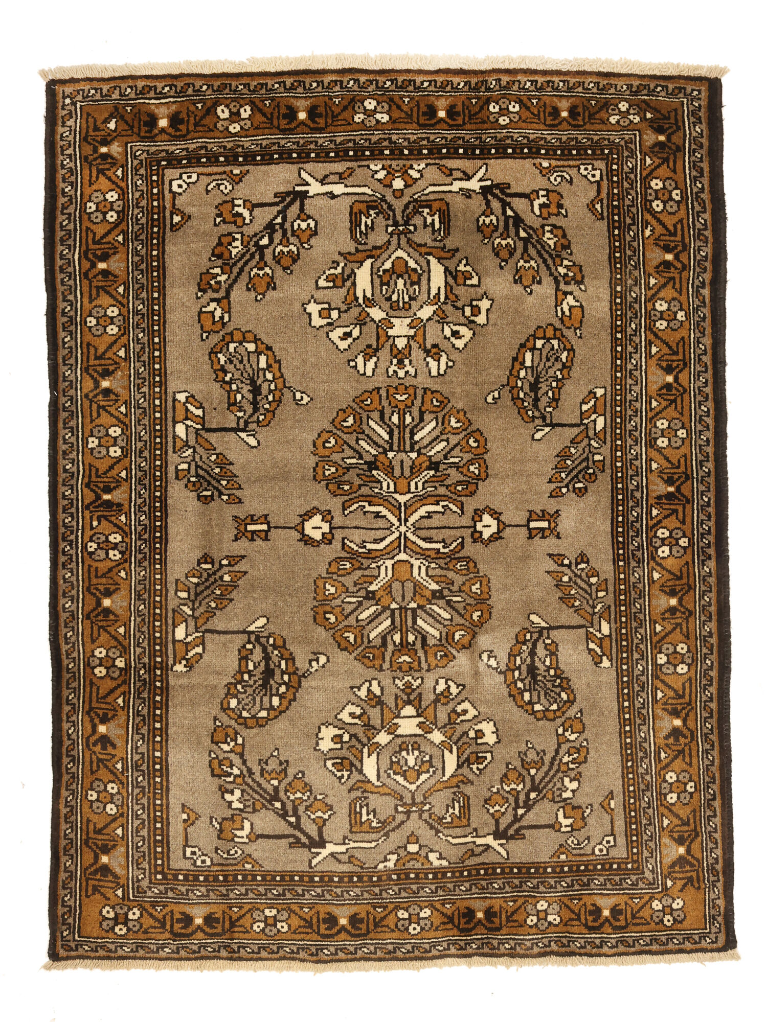 Shiraz Matta 115x152