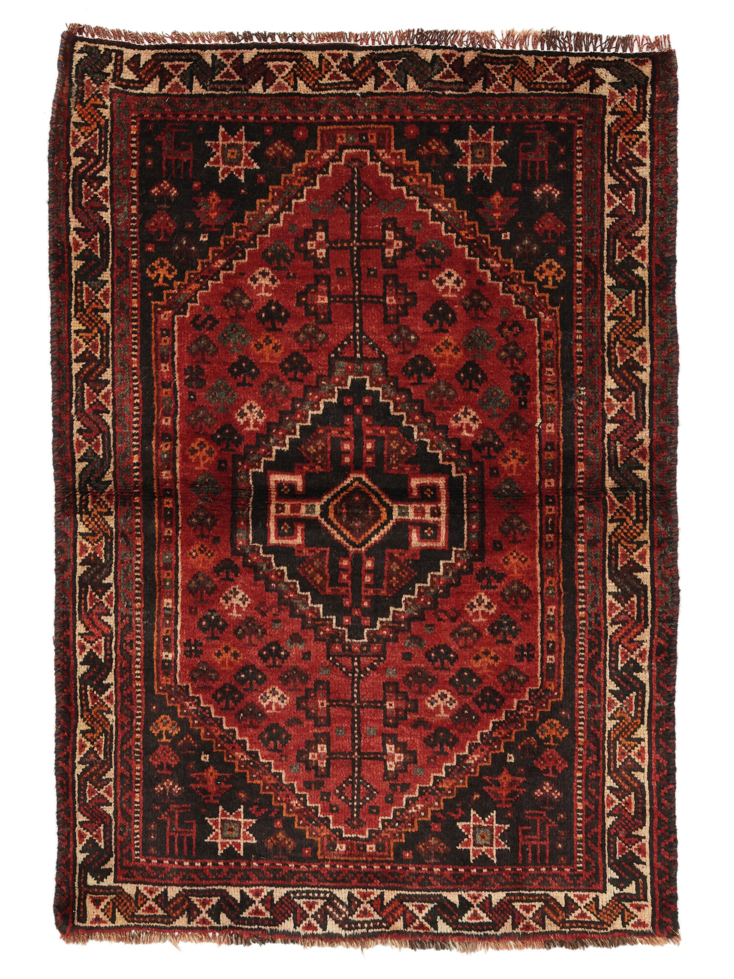 Shiraz Matta 91x130