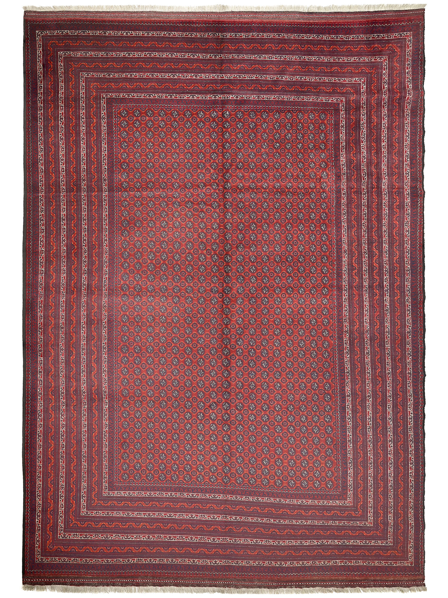 Kunduz Matta 278x404