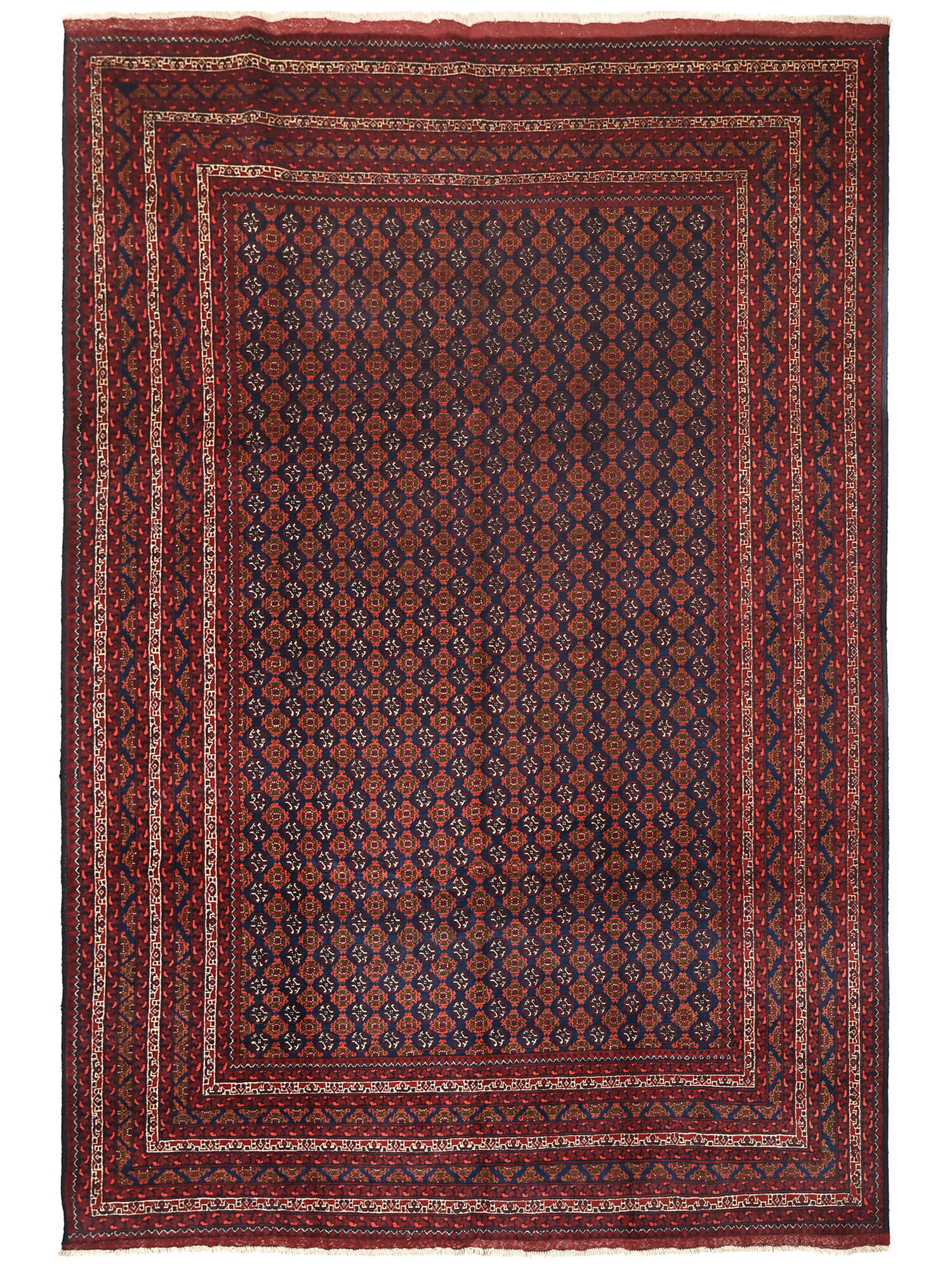 Kunduz Matta 233x334