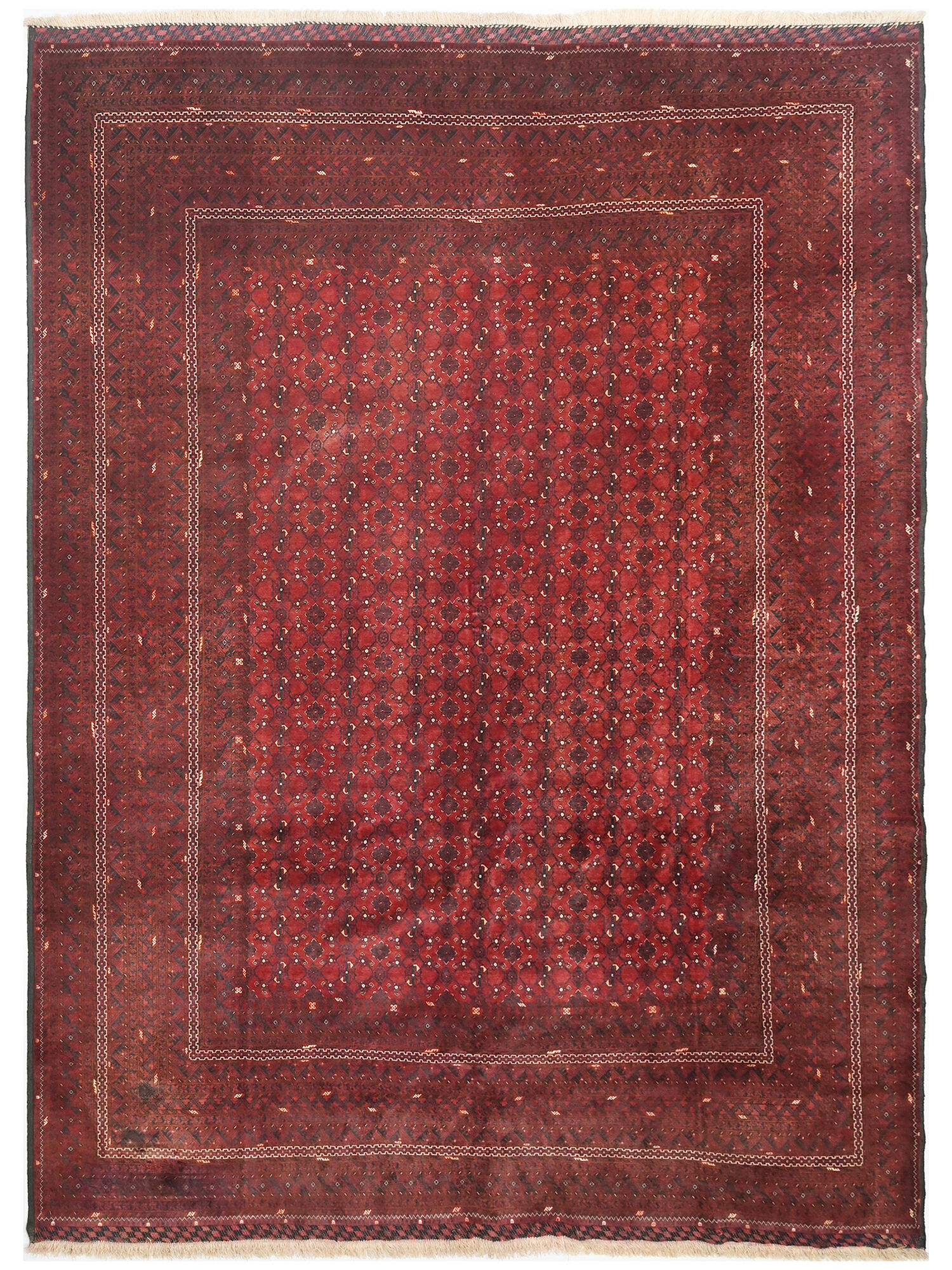 Kunduz Matta 246x340