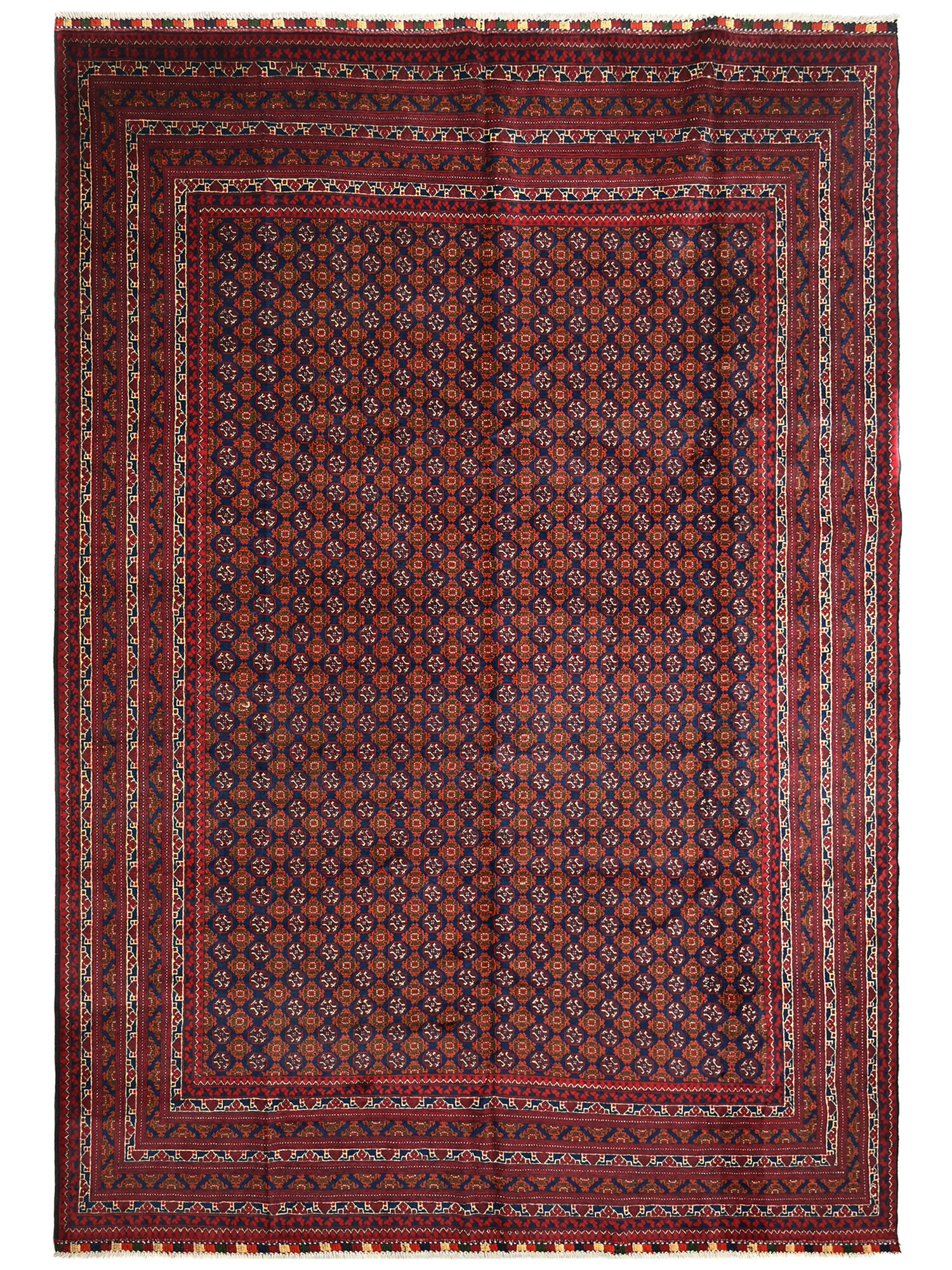 Kunduz Matta 246x334