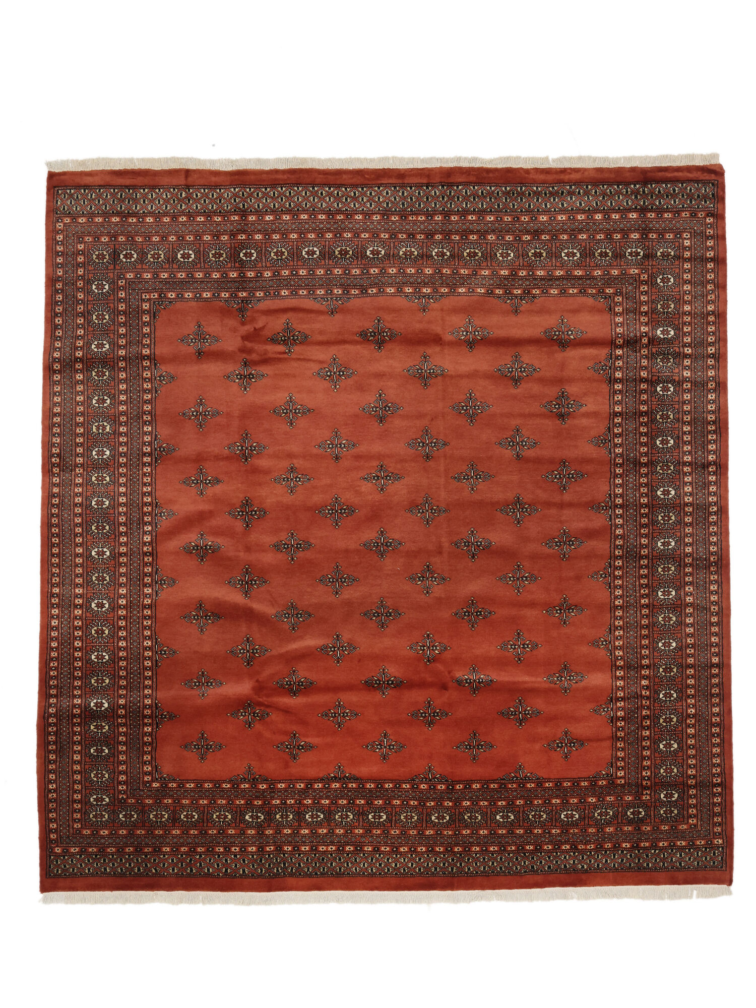 Bokhara 2ply Matta 252x260