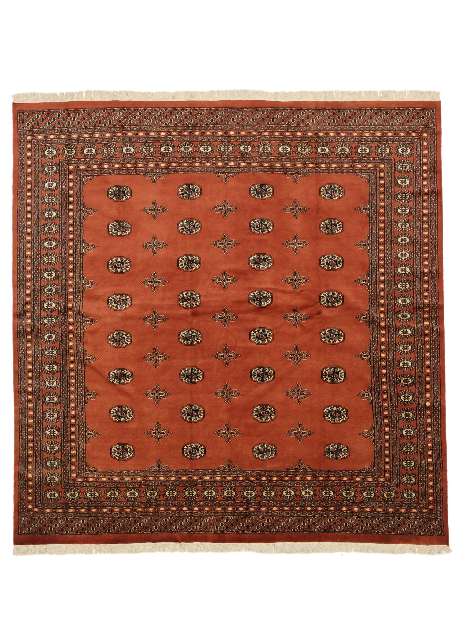 Bokhara 2ply Matta 244x248