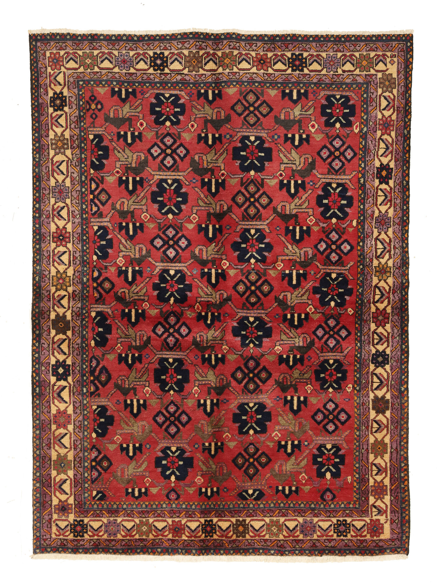 Afshar Matta 144x200