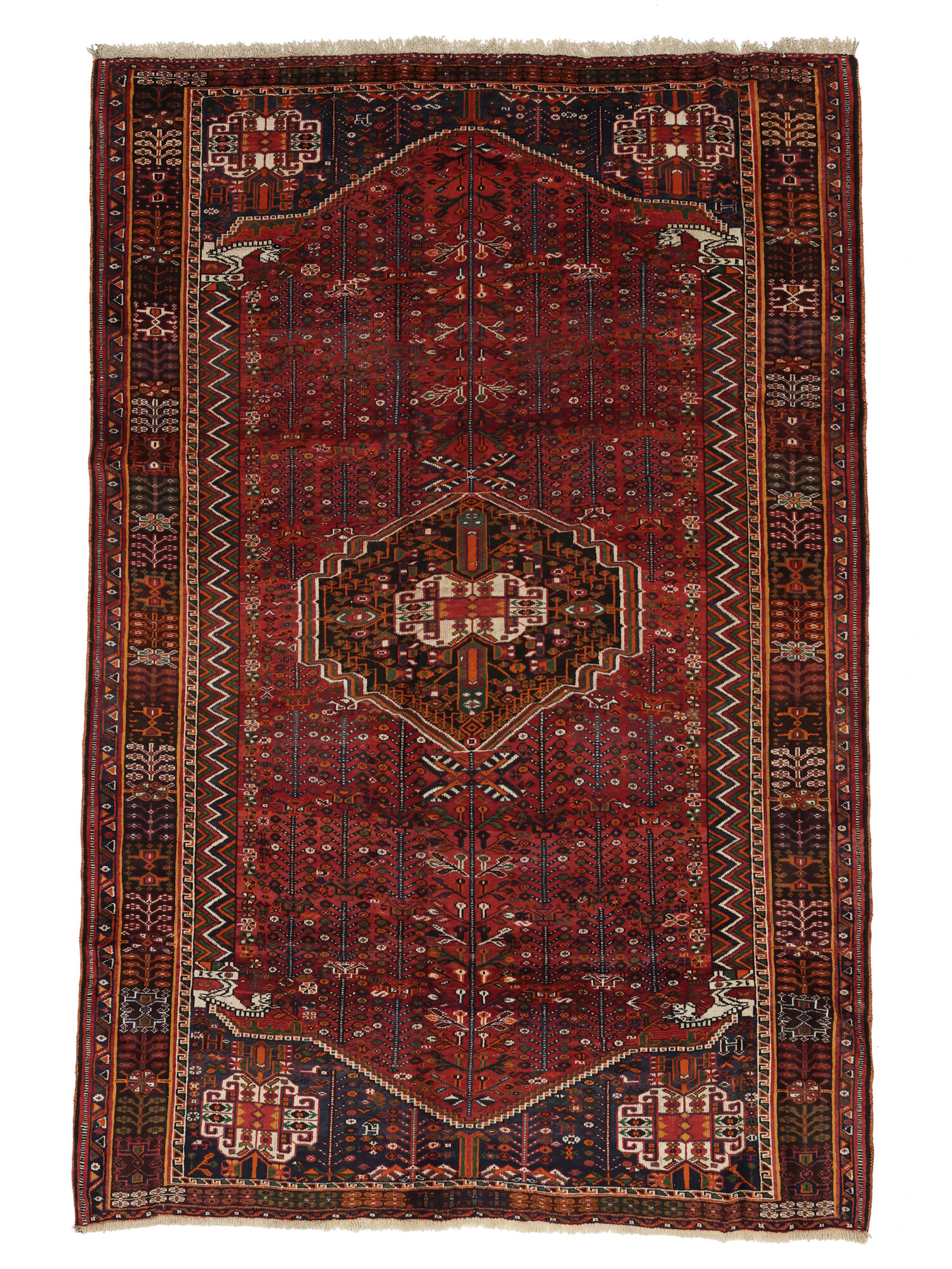Shiraz Matta 181x265