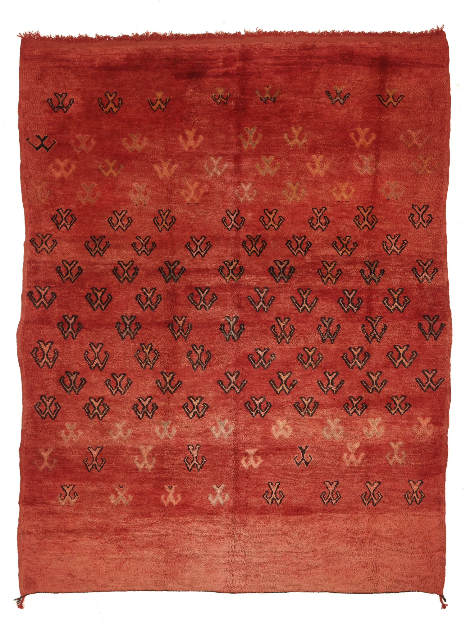 Berber Moroccan - Mid Atlas Vintage 205x277